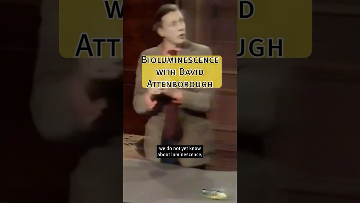 David Attenborough Explains Why some Animals Glow in the Dark #shorts #davidattenborough #lecture