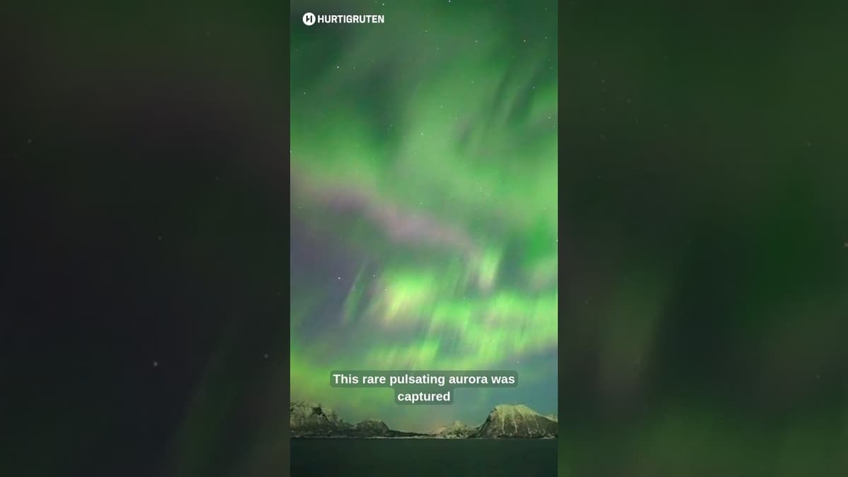 Rare Pulsating Auroras Wows Skywatchers 🌎 "Wildest I've Ever Seen"