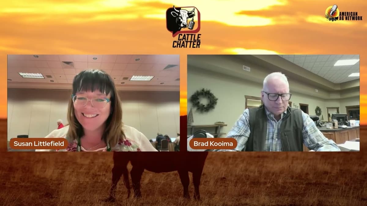 Market Does as the Market Does | 2/26/26 Cattle Chatter