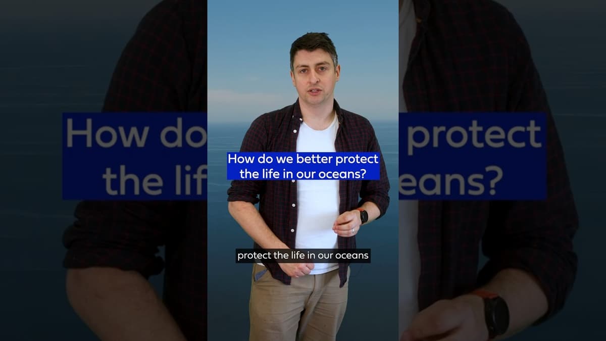How Should We Protect Our Oceans?