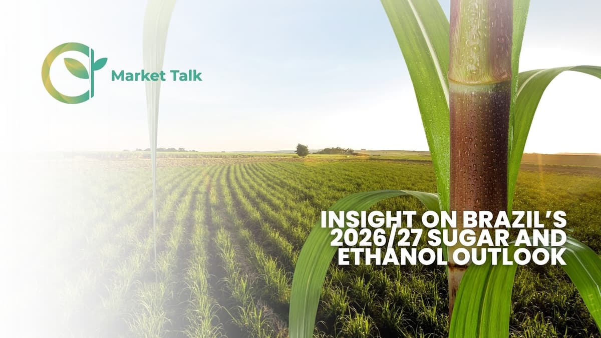 Insight on Brazil’s 2026/27 Sugar and Ethanol Outlook