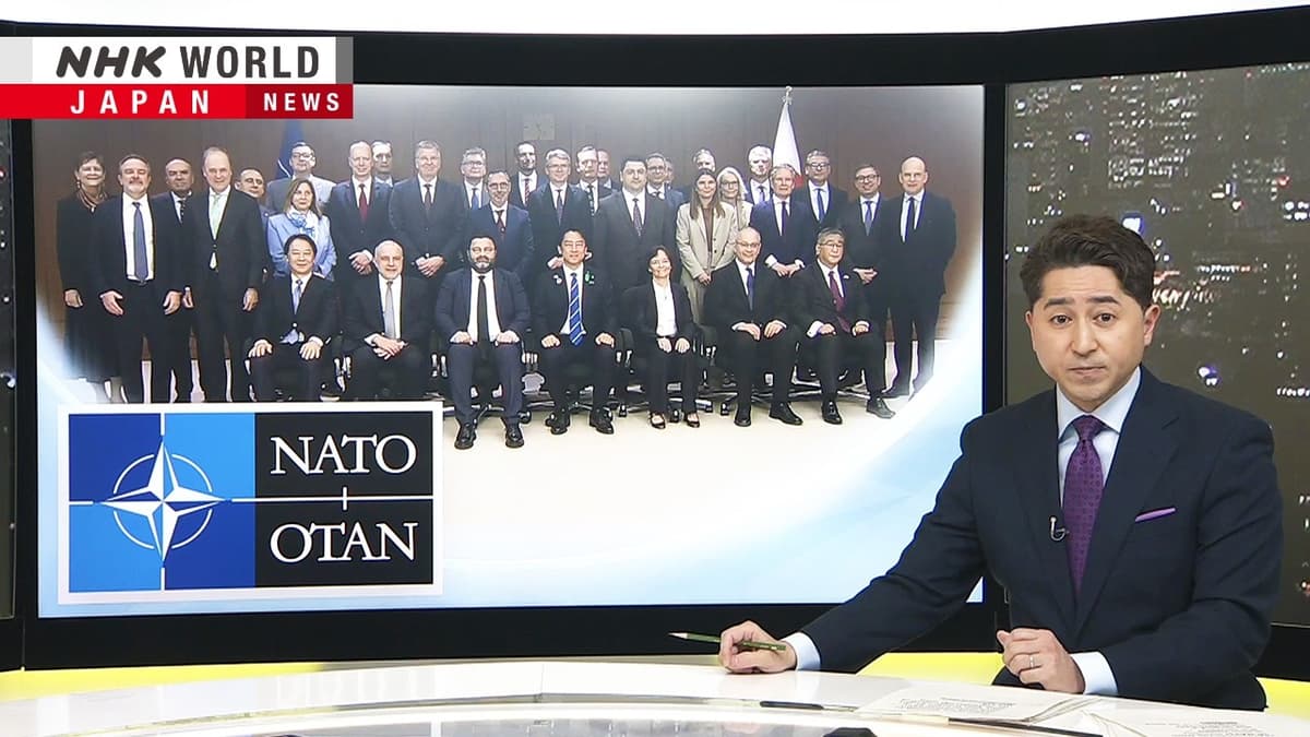 'We Can Learn From Each Other': Why NATO Is Turning to JapanーNHK WORLD-JAPAN NEWS