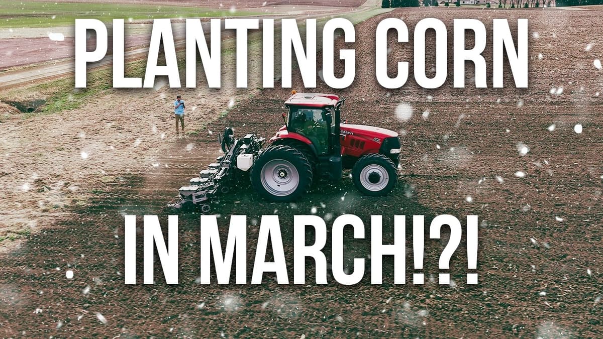 Will It Survive? Planting in South Dakota in March