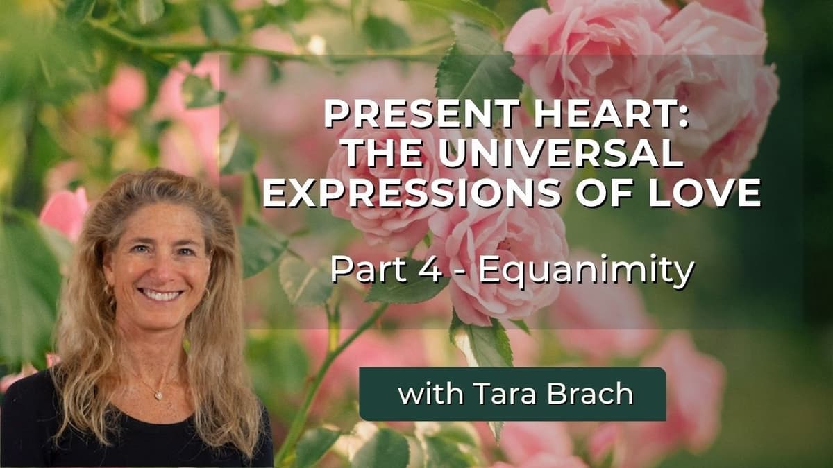 Present Heart, The Universal Expressions of Love, Part 4 - Equanimity | Tara Brach