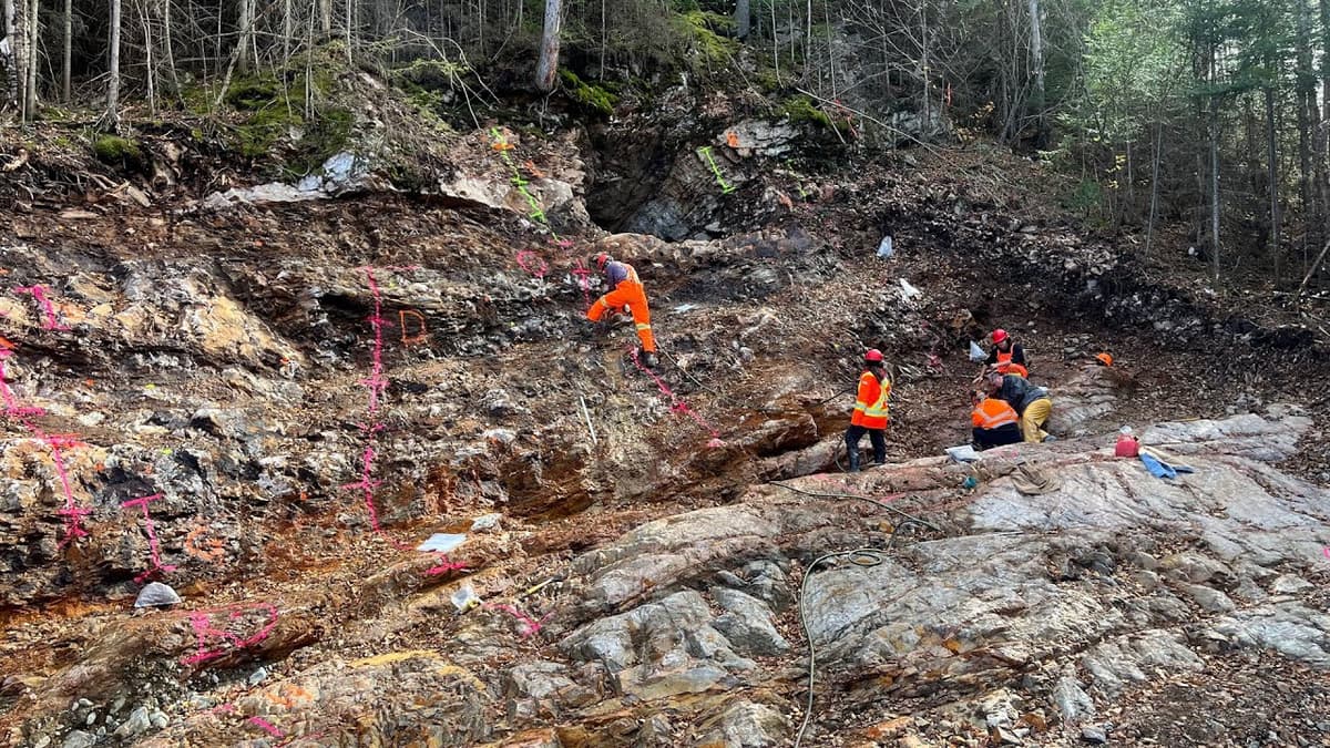 RPX Gold CEO Discusses the Wawa PEA and Path to Production