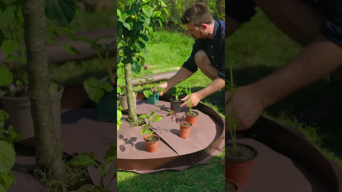 Grow Micro Gardens Under Your Fruit Trees