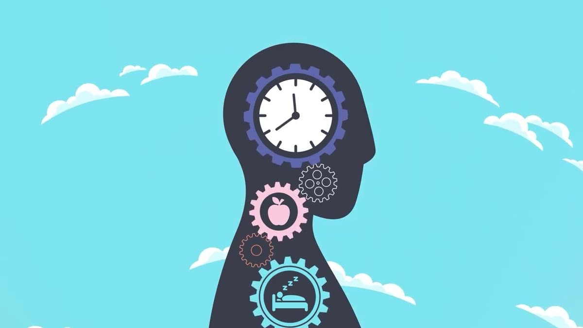 Emily Manoogian Sleeps, Eats, and Thrives with Circadian Rhythms in Mind