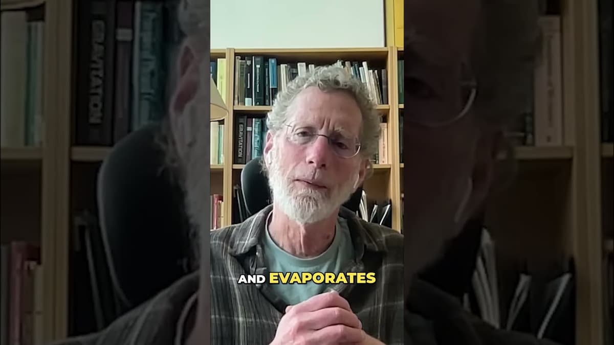 Is the Black Hole Information Paradox Real?