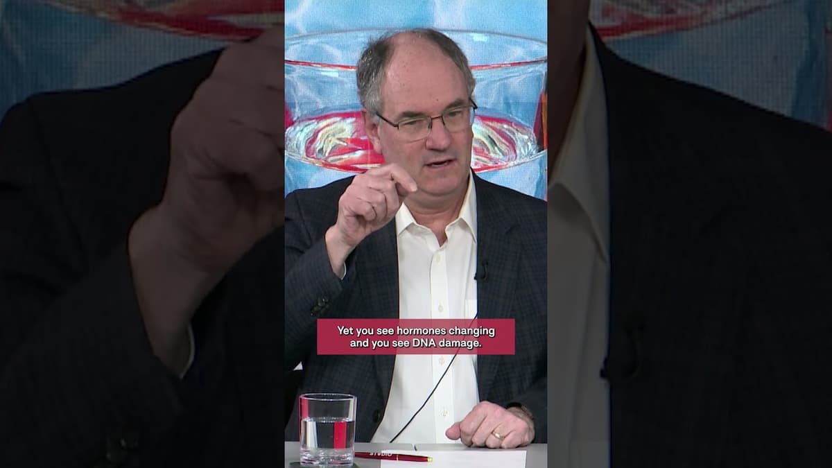 Alcohol’s Health Benefits and Risks Explained #harvardchanstudio