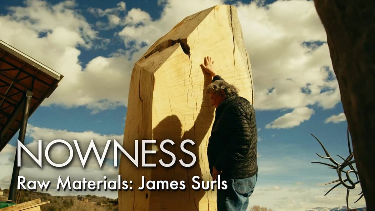 In Colorado, Sculptor James Surls Connects with Nature via Raw Materials to Create Vast Wooden Forms