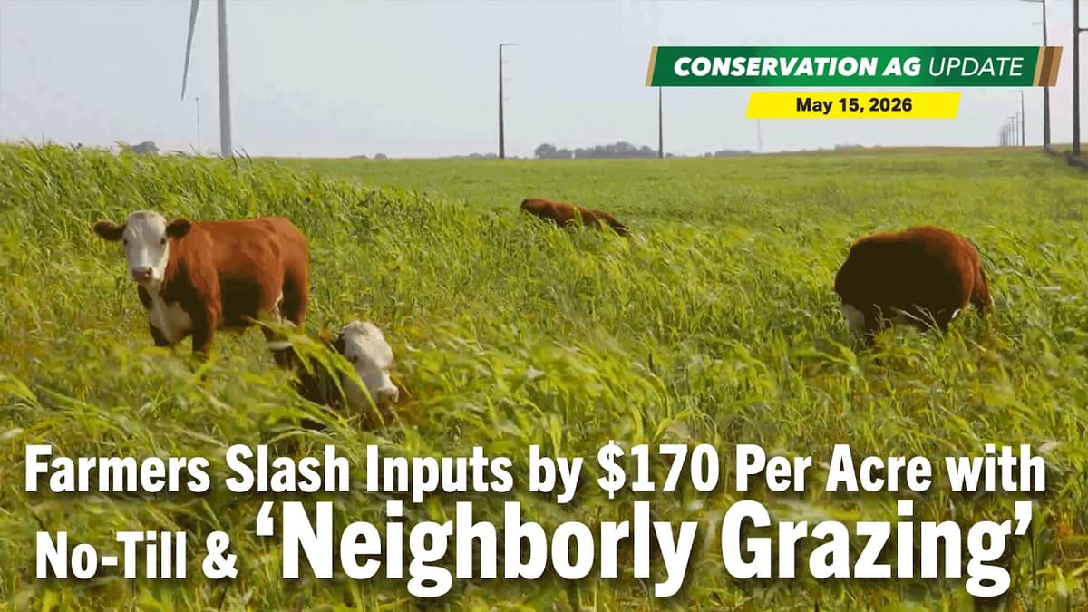 Farmers Slash Inputs by $170 Per Acre with No-Till & ‘Neighborly Grazing’