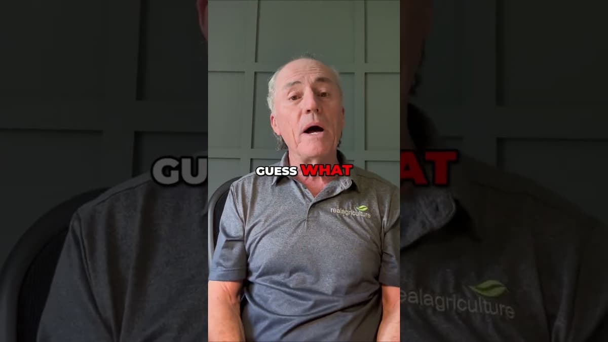Wheat Pete: Why Liquid Fertilizer Is CRUCIAL #shorts