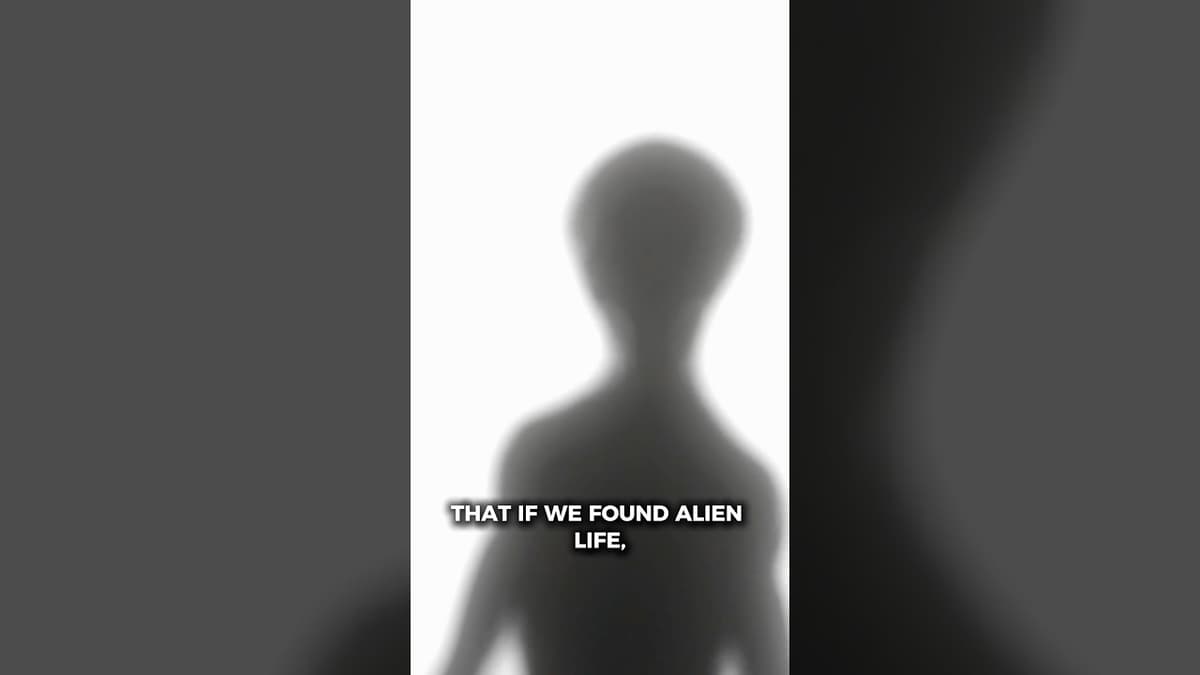Could Alien Life Have Completely Different Chemical Makeup Than Life On Earth? #briangreene #aliens