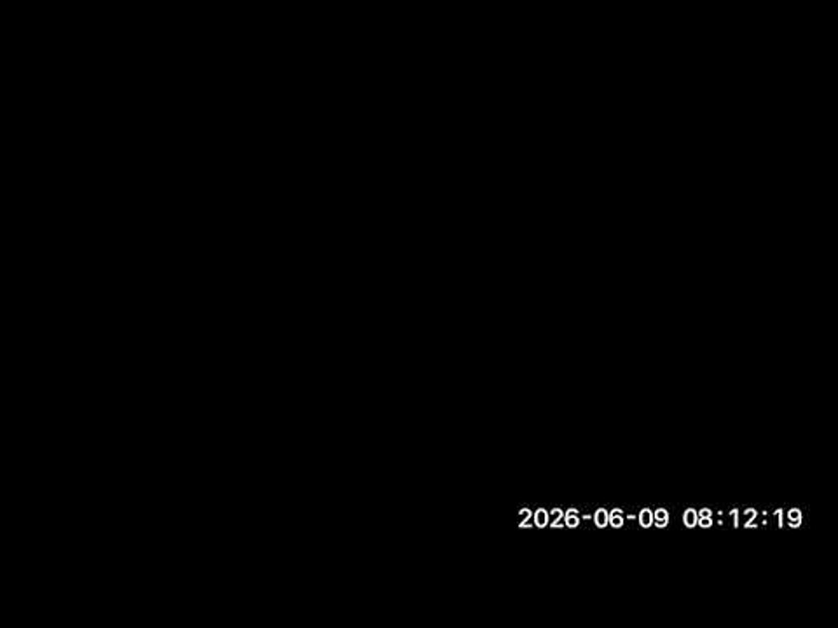 Server - HPC _ High Performance Computing - Sub-Project - (2026-06-09)