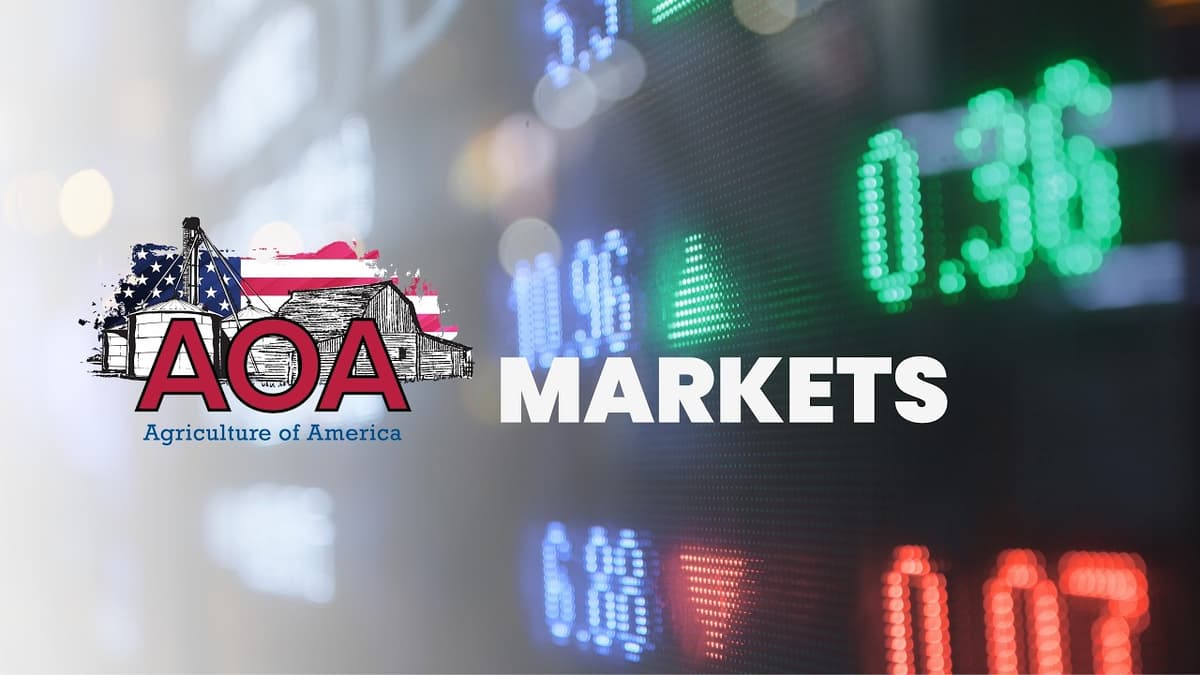 Mixed Markets to Start the Week (AOA Markets 2/17/26)