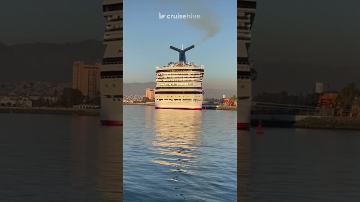 Woman Wins $300K in Carnival Lawsuit Over Too Many Drinks. #cruise #cruises #carnivalcruise
