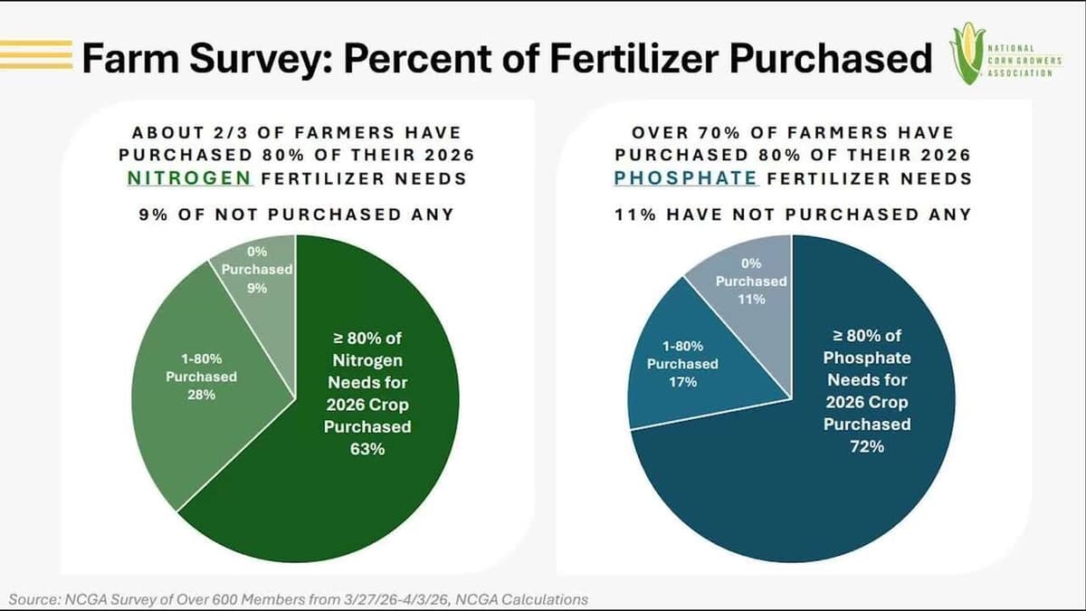 Oil Plunge Shakes Markets, Fertilizer Worries Grow
