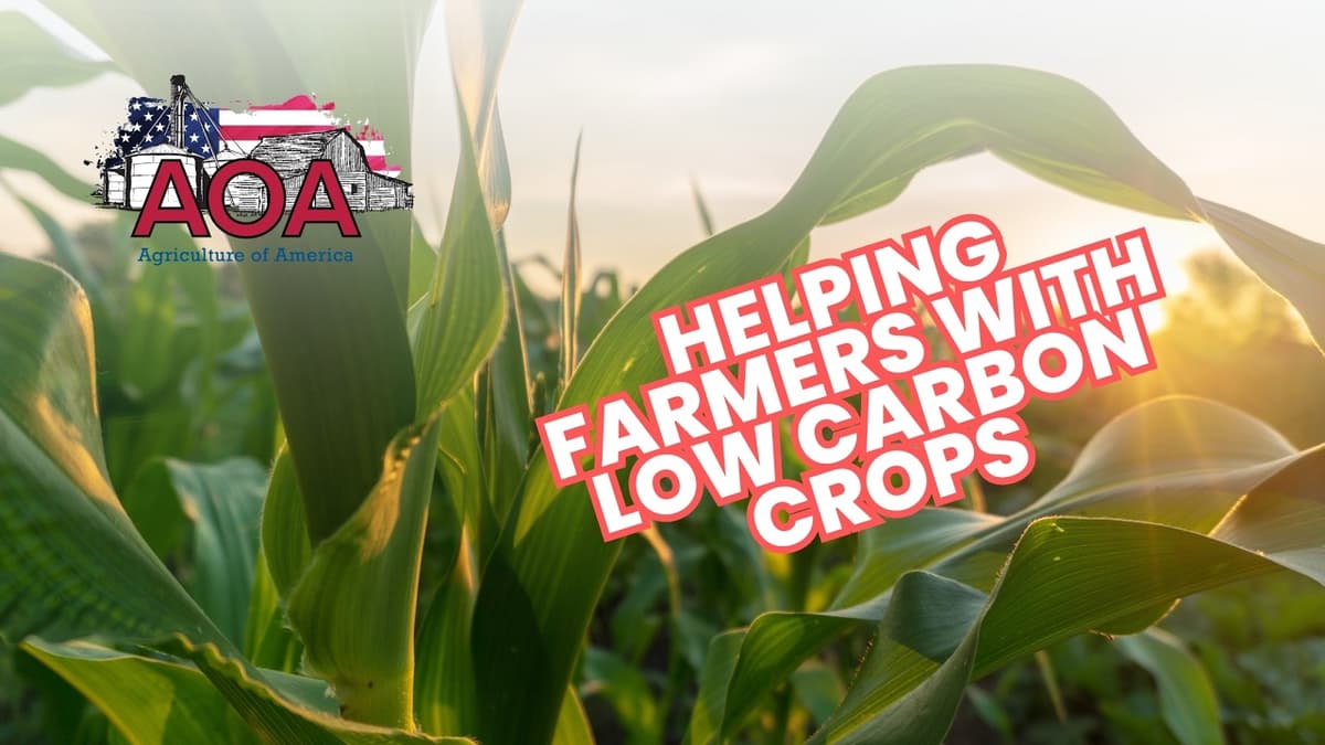 New Collaboration to Help Farmers with Low-Carbon Intensity Crops