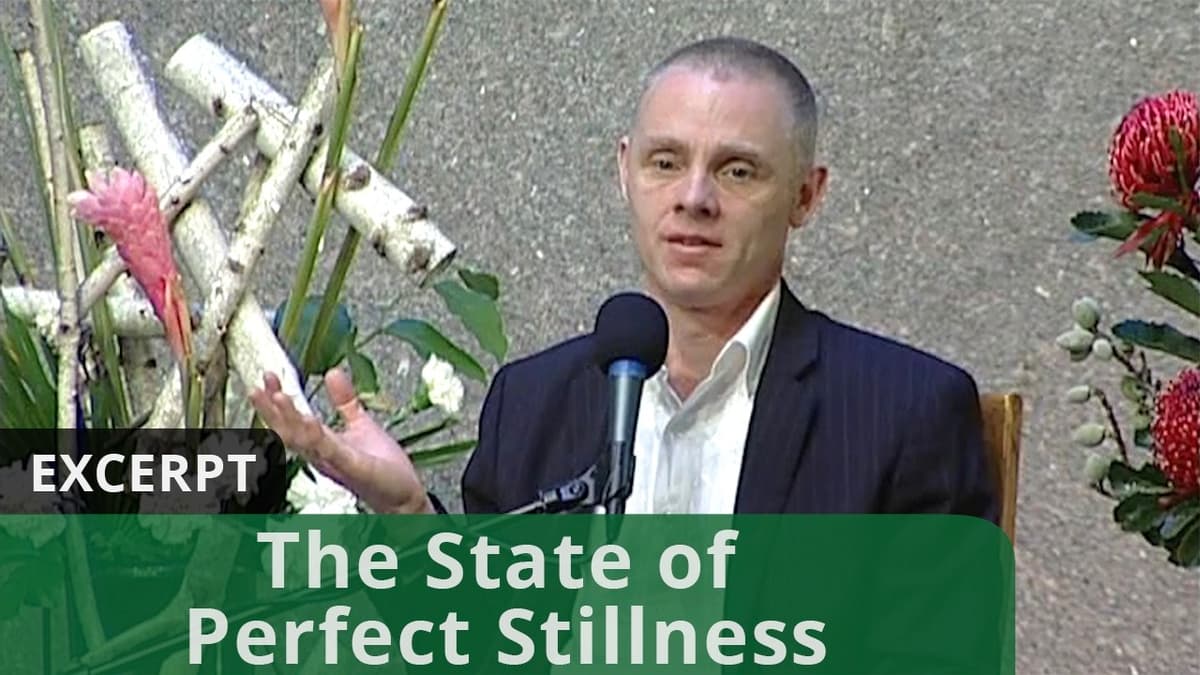 The State of Perfect Stillness (Excerpt)