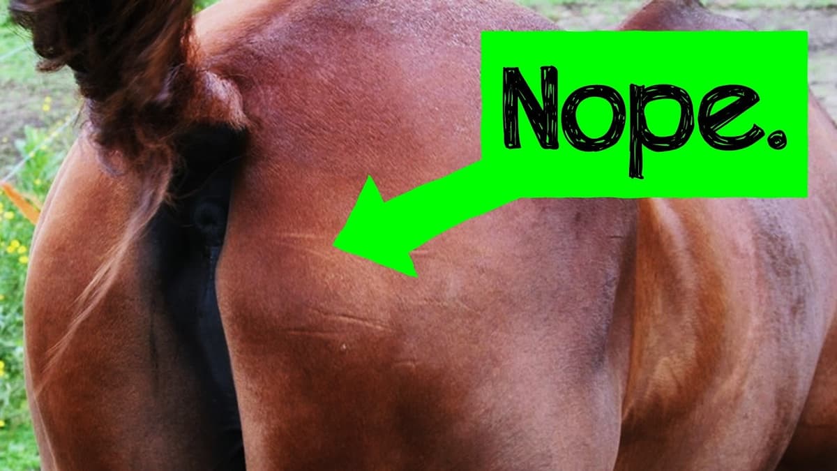 Where Did "Standard Gauge" Come From?