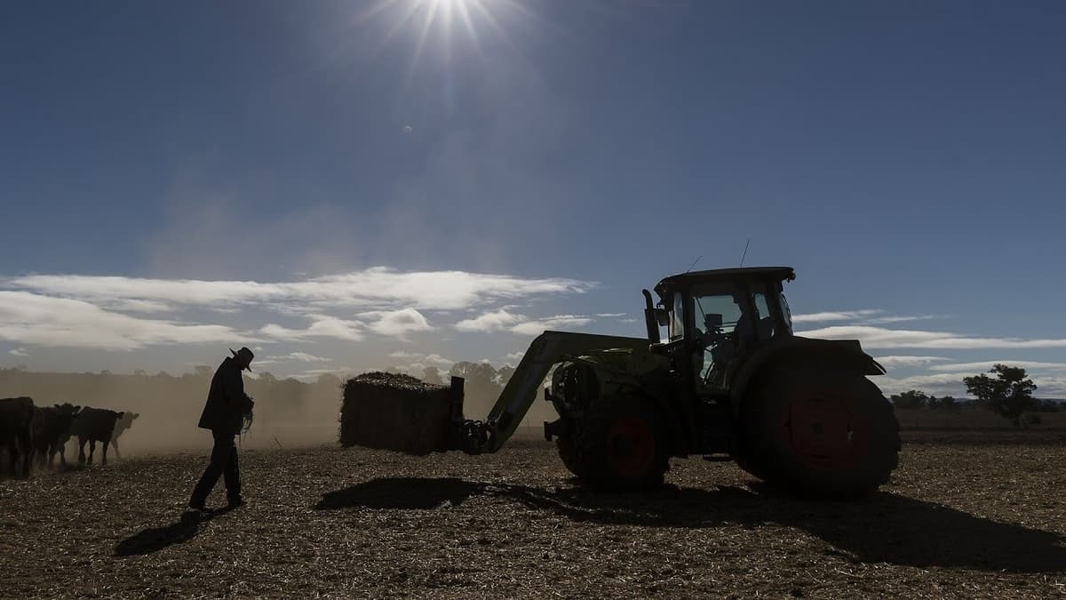 Intense Standoff Between Victorian Farmers and VicGrid Officers over Transmission Project