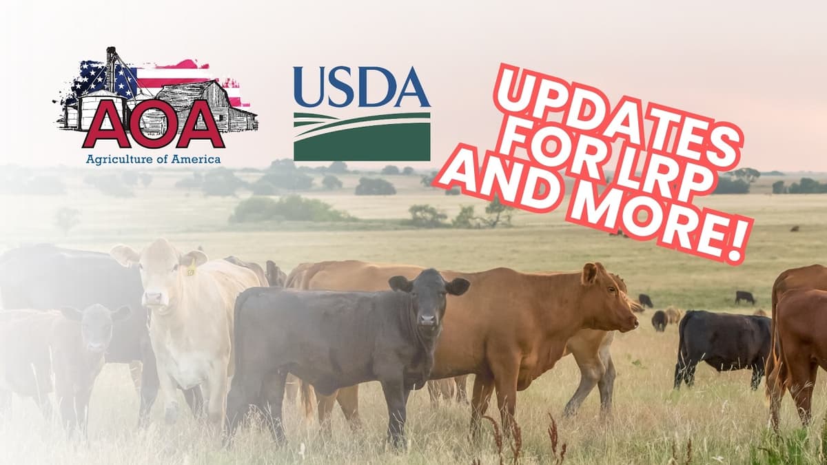 EXCLUSIVE: USDA Rolls Out Livestock Insurance Program Enhancements