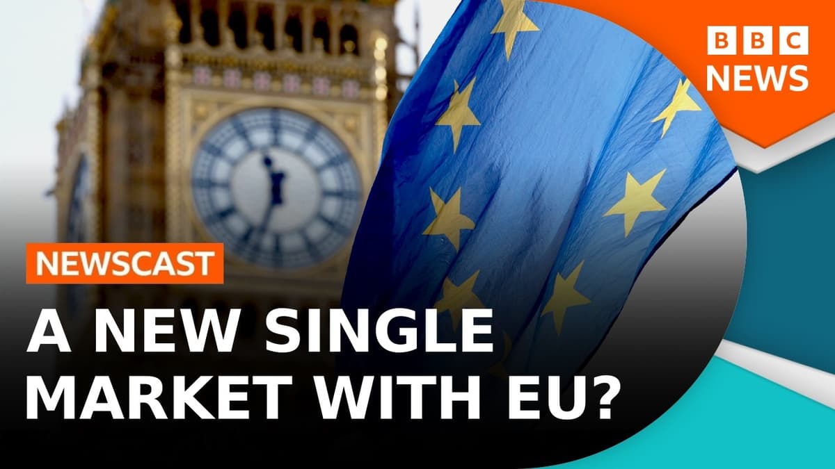 Could A Brexit Reset Mean A New Single Market? (Live At Hay Festival!) | BBC Newscast
