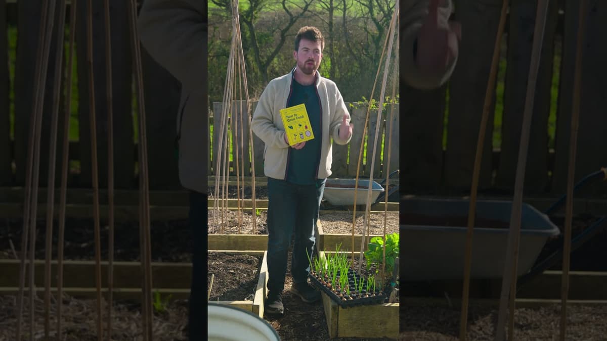 Tomorrow Is a Big Day! #howtogrowfood