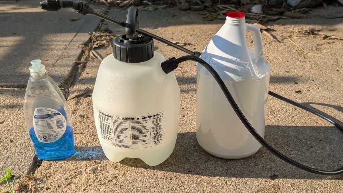 Farmstead Forrest: How to Use Horticultural Vinegar for Farmyard Weed Management