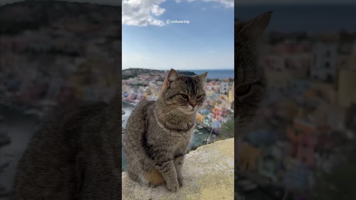 Naples and Procida in April? Say Less 🇮🇹✨#culturetrip