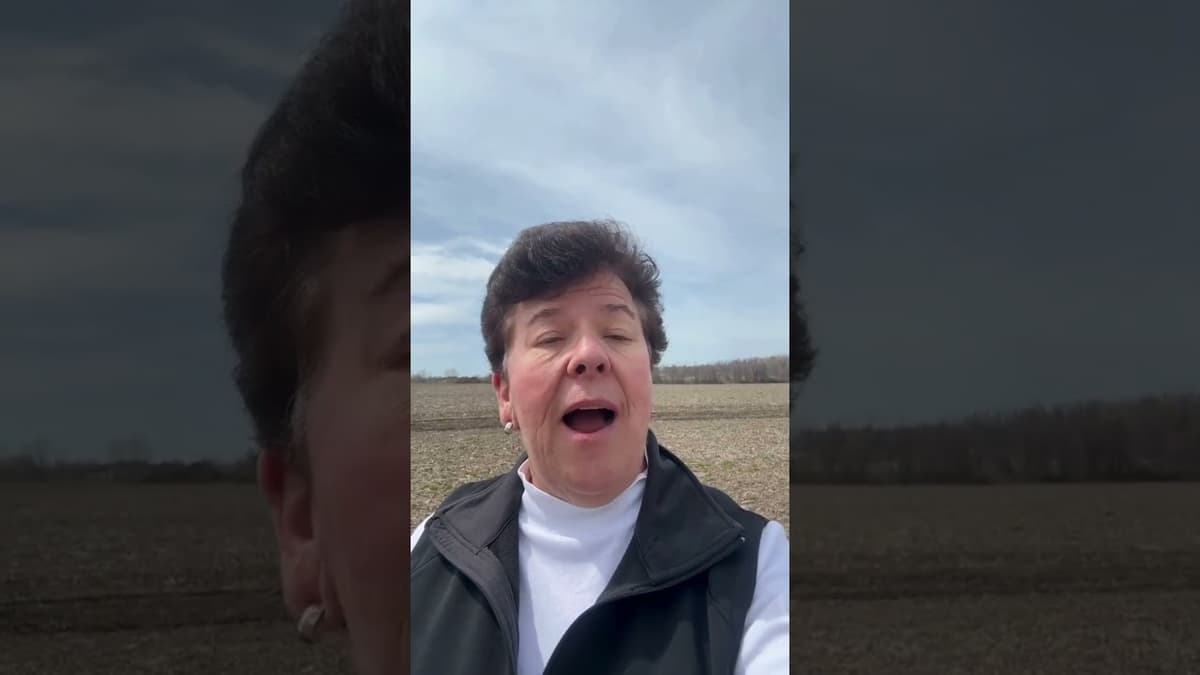 Why Your ‘Worst’ Soybean Fields Should Be Planted First