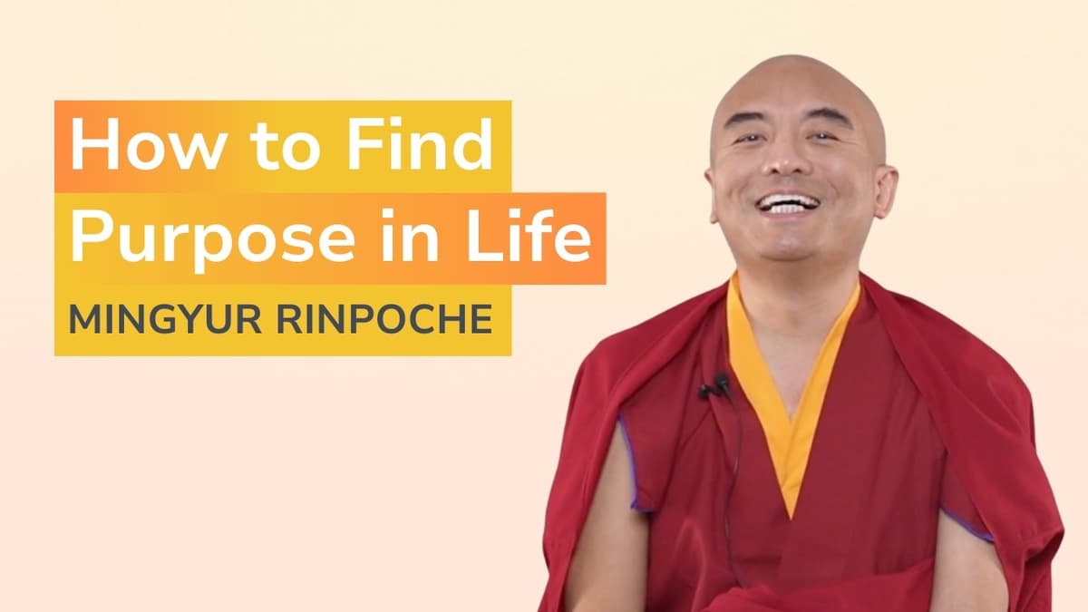 Mingyur Rinpoche on Purpose, Compassion, and the Meaning of Life
