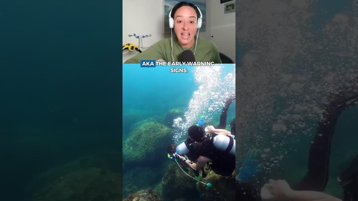 The Robots Helping Marine Biologists Save Coral Reefs
