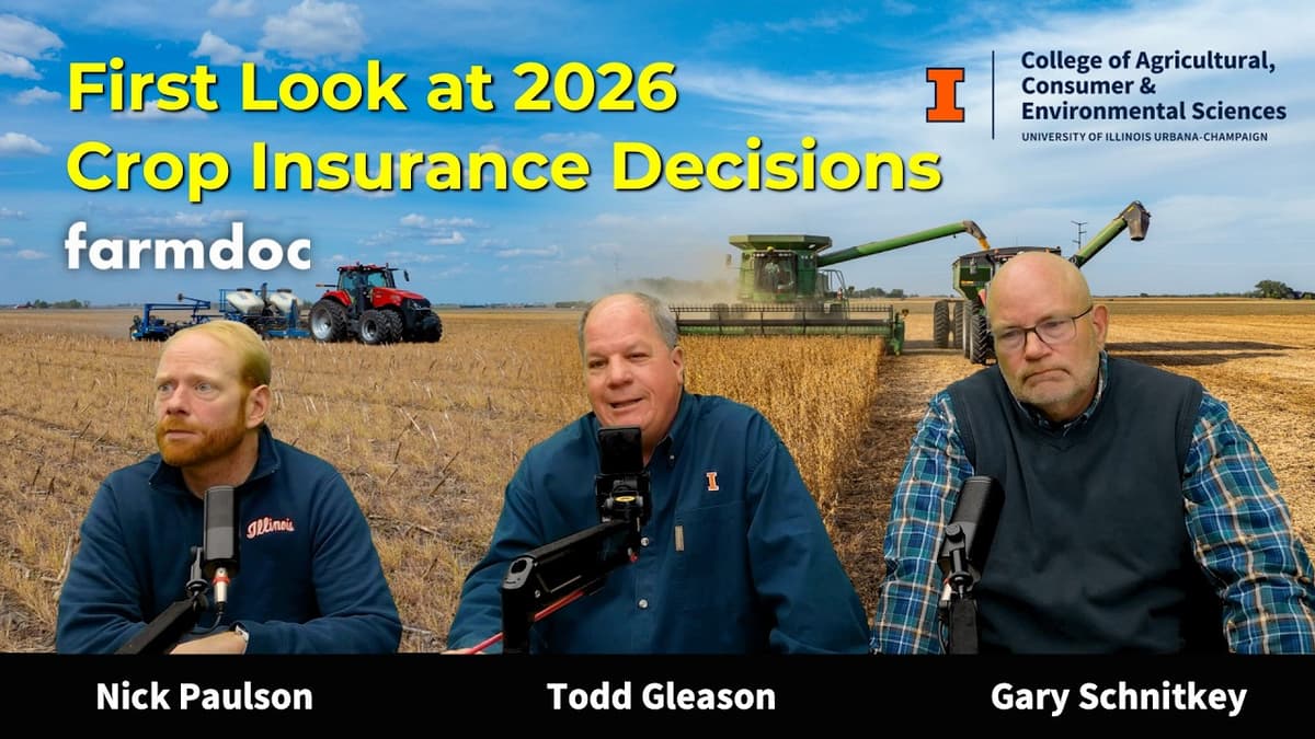 First Look at 2026 Crop Insurance Decisions