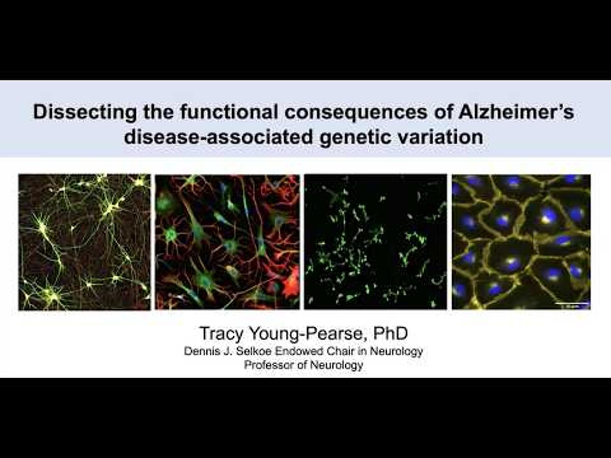 McCance Seminar Series: Tracy Young Pearse, PhD