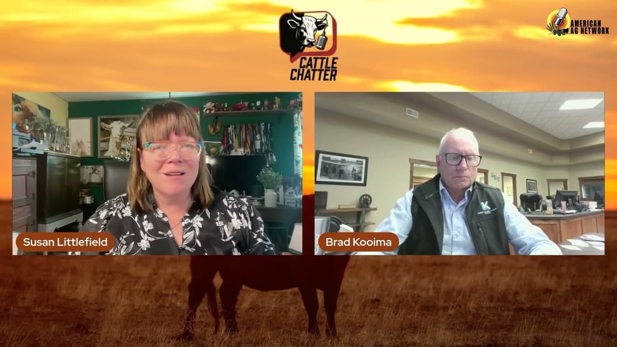 Border Uncertainty and Cash Standoff Keep Cattle Trade on Edge | 4/23/26 Cattle Chatter
