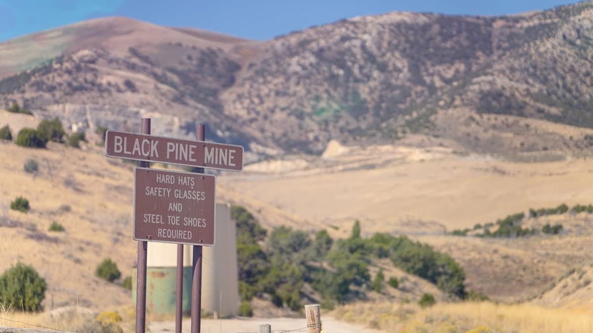 Liberty Gold CEO Discusses Black Pine Permitting and the 2026 Feasibility Study