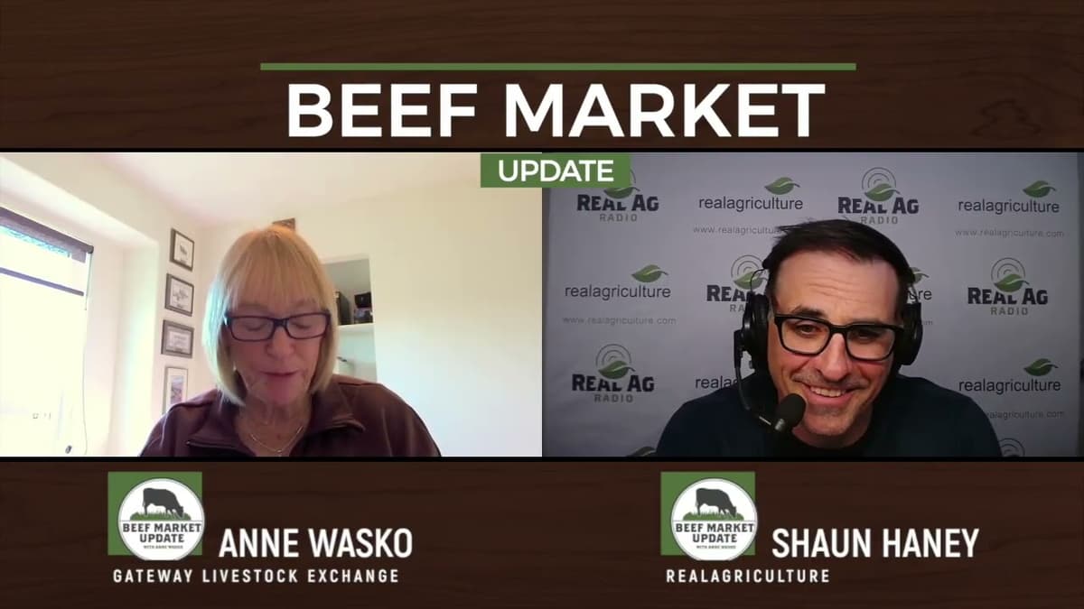 Beef Markets Hit by Volatility Ahead of Long Weekend | Beef Market Update
