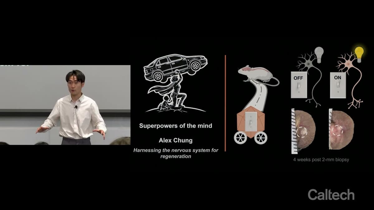 Alex Chung - Superpower of the Mind: Harnessing the Nervous System for Regeneration