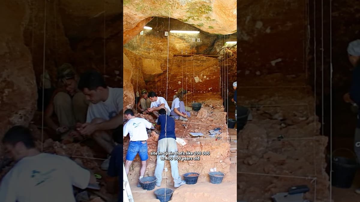 A Pit in Spain Holds the Key to a Neanderthal DNA Mystery - David Reich