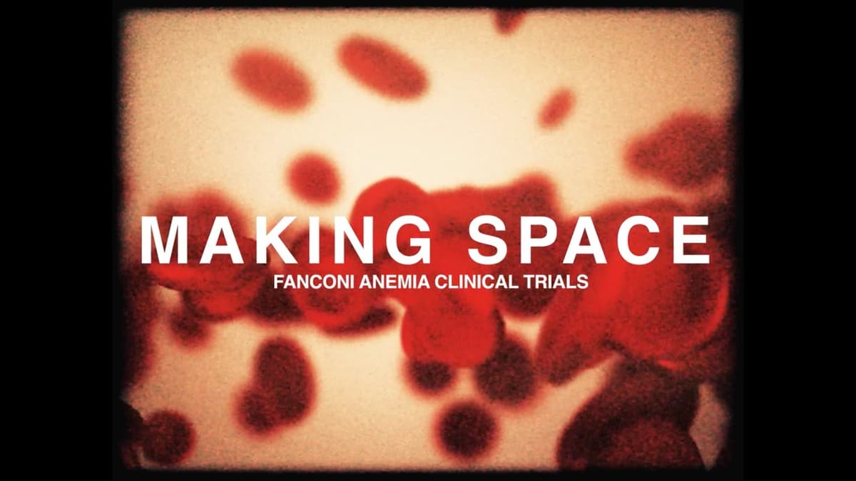 Safer Stem Cell Transplants — without Chemotherapy or Radiation | Stanford Medicine