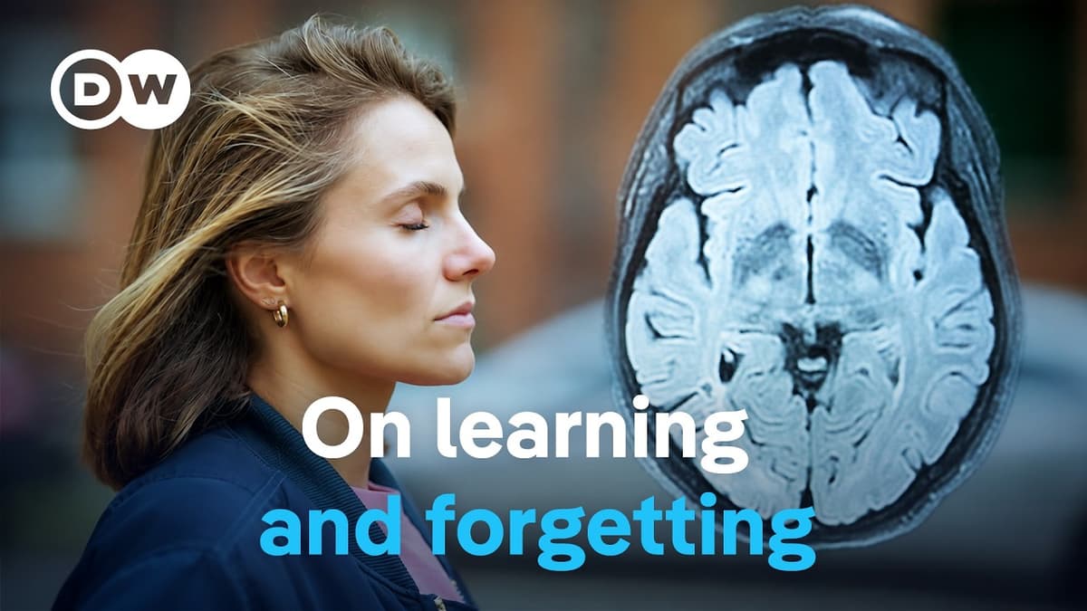 Our Memory - A Phenomenal Storage System | DW Documentary