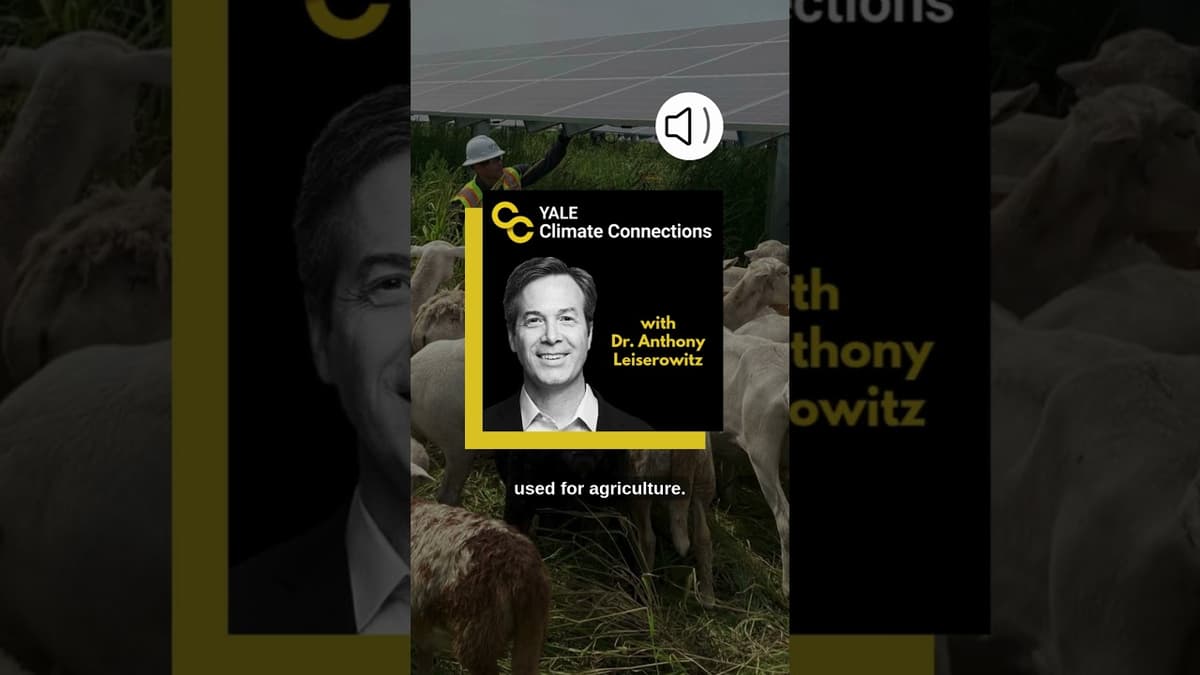 The Cutest Lawn Care Team