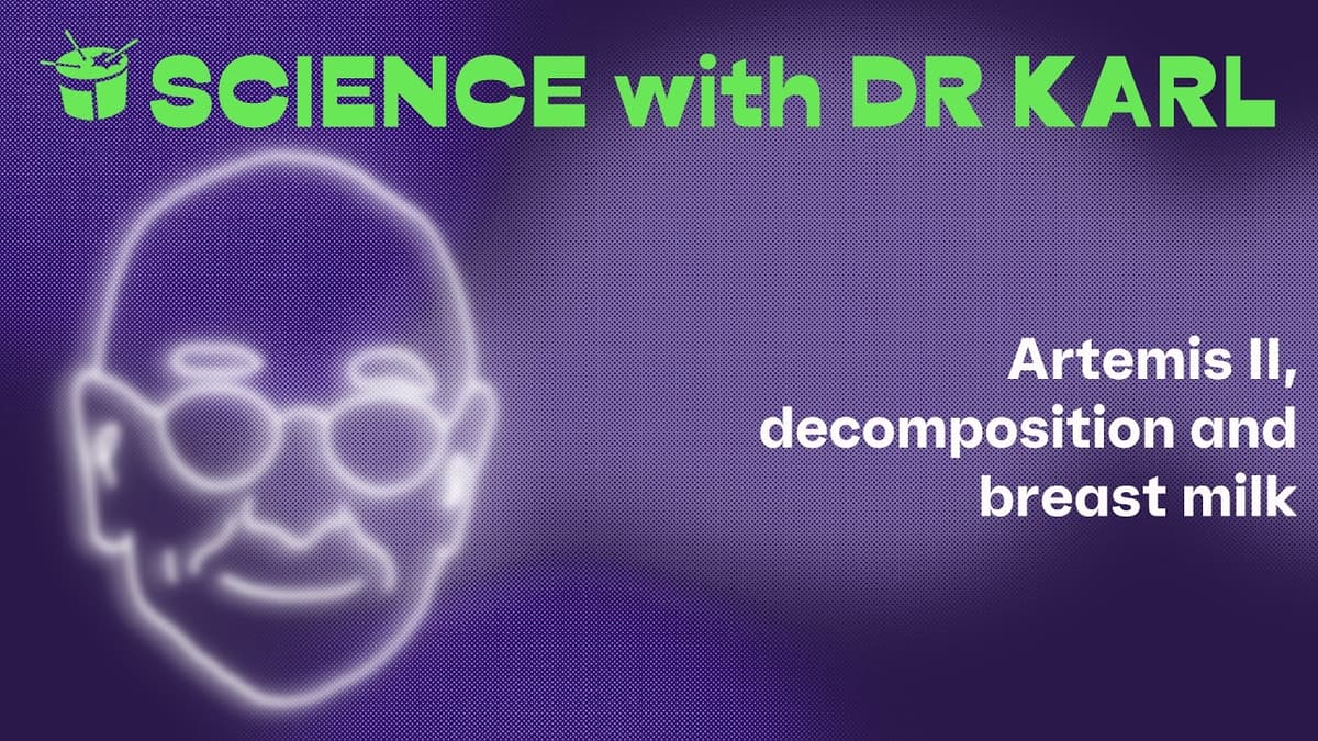 Artemis II, Decomposition and Breast Milk