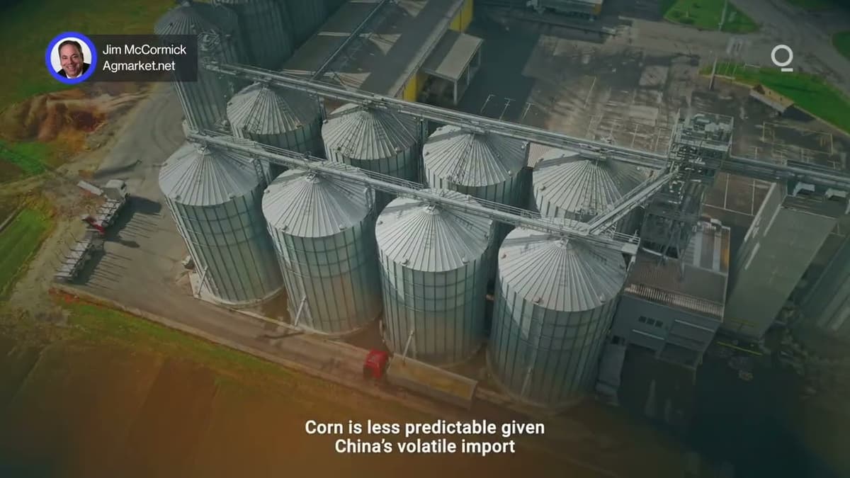 Data, Not Deals, Will Drive US-China Grain Markets | Presented by CME Group