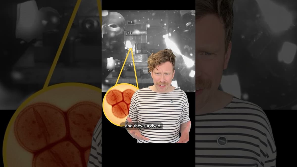 This Bacteria Could Help Us Understand the Origins of Life