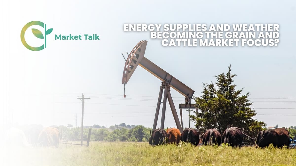 Energy Supplies and Weather Becoming the Grain and Cattle Market Focus?