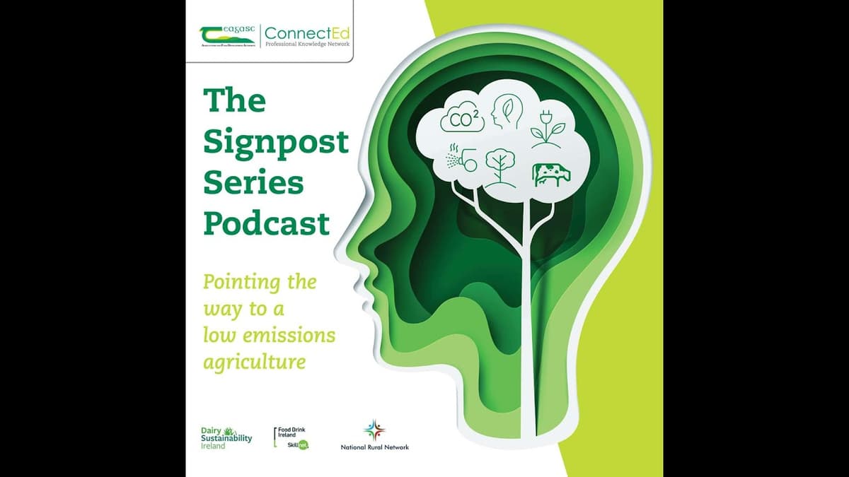 Changes in Weather in 2025 & Its Impact on Grass Growth