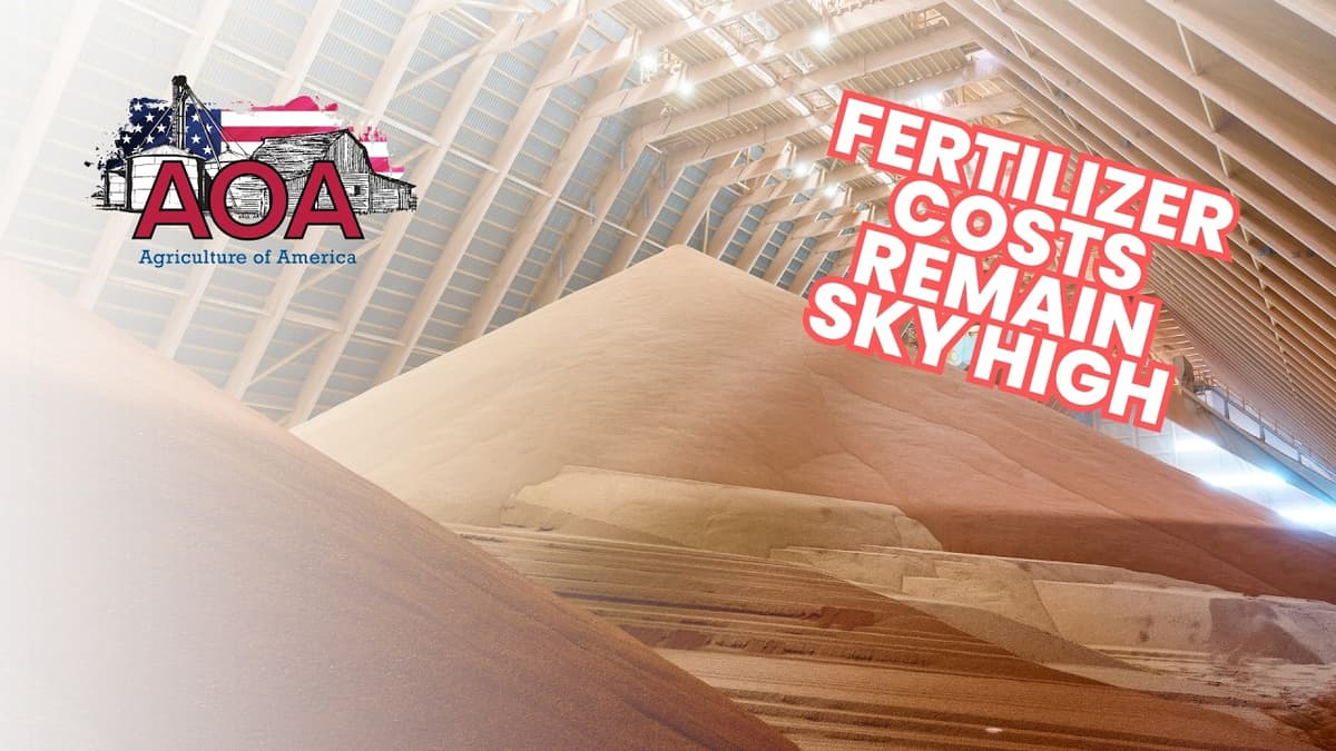 Perspective on Fertilizer Prices, Production and Possible Congressional Action
