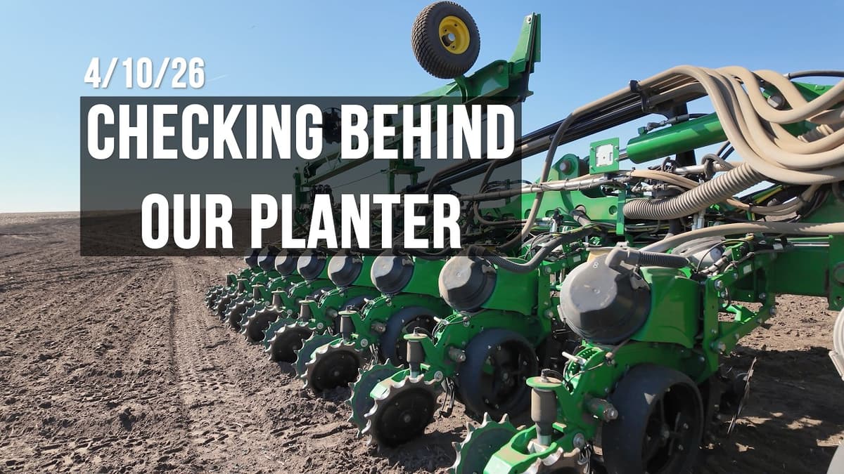 What I’m Checking Behind the Planter This Spring